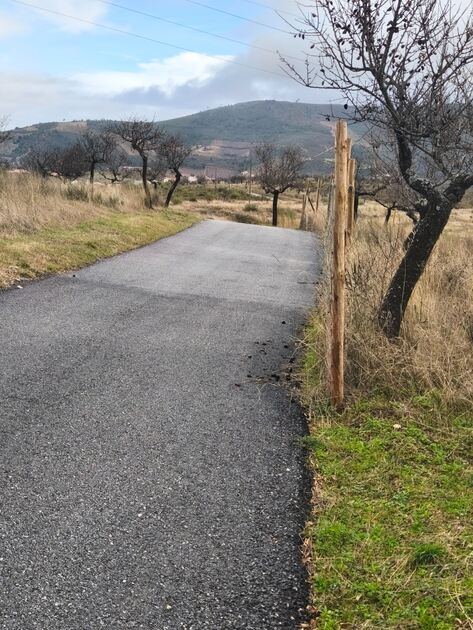 Terreno rústico em sequeiros . Terreno Rústico