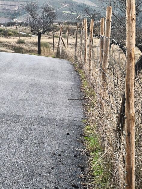 Terreno rústico em sequeiros . Terreno Rústico