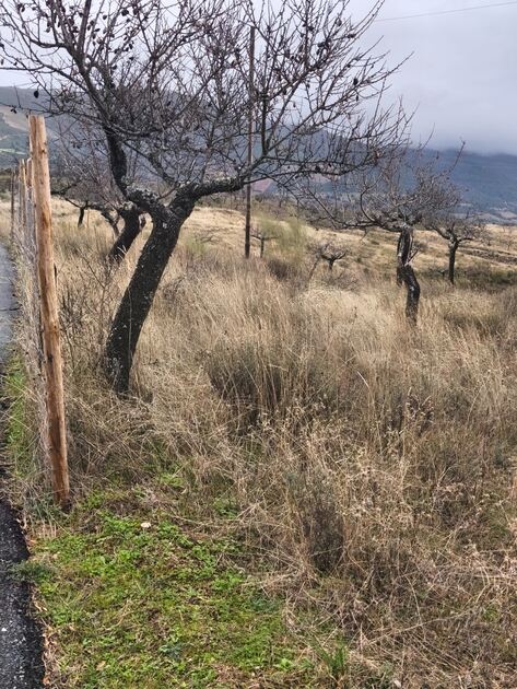 Terreno rústico em sequeiros . Terreno Rústico