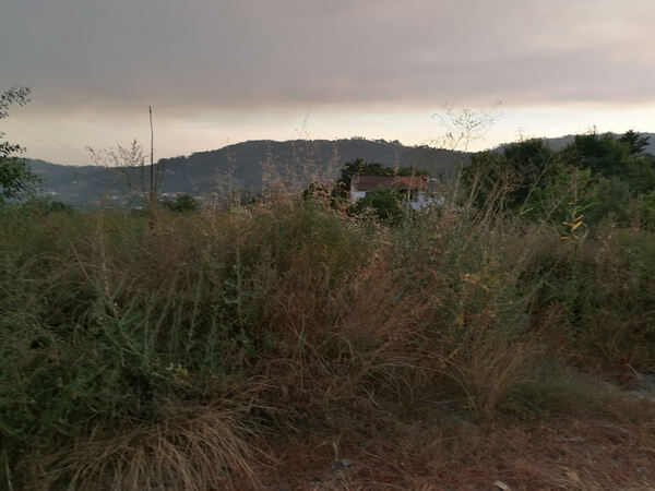 Terreno Rústico - Vila Cova, Penafiel. Terreno Rústico