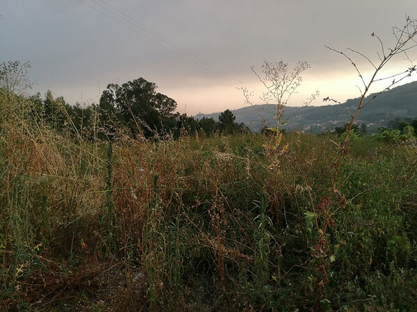 Terreno Rústico - Vila Cova, Penafiel. Terreno Rústico