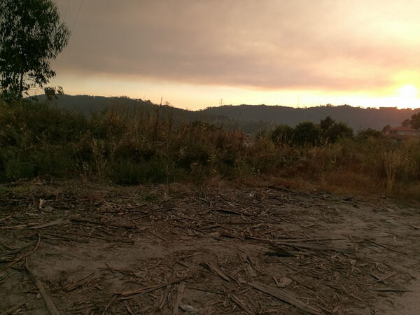 Terreno Rústico - Vila Cova, Penafiel. Terreno Rústico