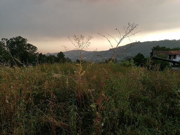 Terreno Rústico - Vila Cova, Penafiel. Terreno Rústico
