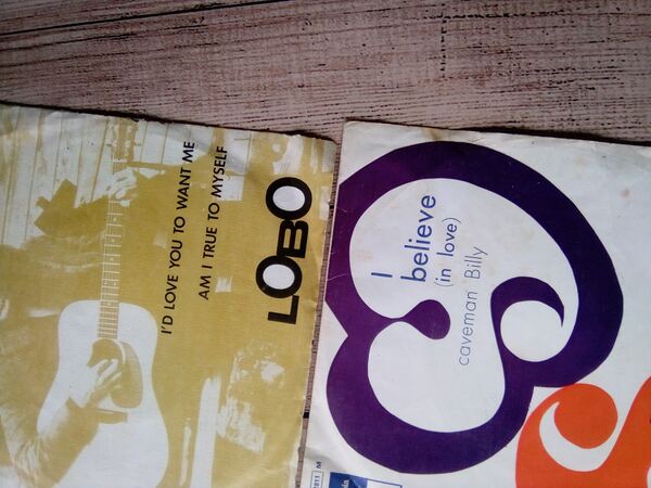 Diverso vinil pequeno(single)e LP,alguns maxis. Vinil, CDs