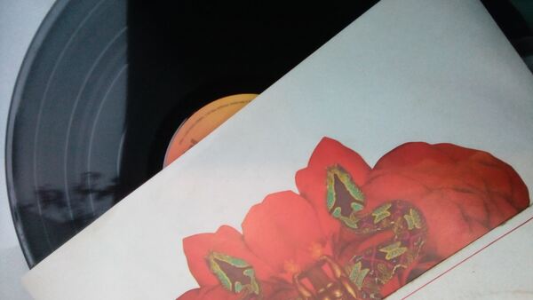 Diverso vinil pequeno(single)e LP,alguns maxis. Vinil, CDs