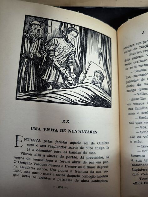 Livro A Ala dos Namorados. Livros