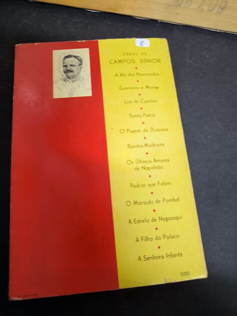 Livro A Ala dos Namorados. Livros