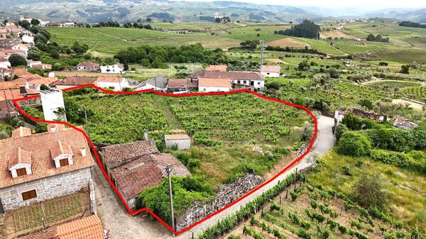 Moradias para reconstrução e terreno -Vilar Maçada. Terreno Rústico