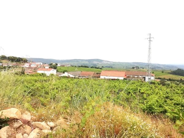 Moradias para reconstrução e terreno -Vilar Maçada. Terreno Rústico