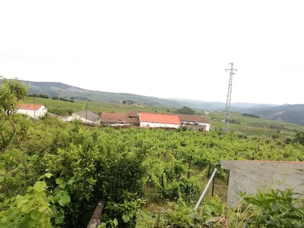 Moradias para reconstrução e terreno -Vilar Maçada. Terreno Rústico