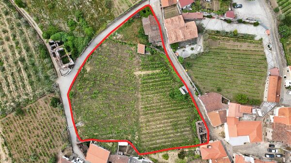 Moradias para reconstrução e terreno -Vilar Maçada. Terreno Rústico