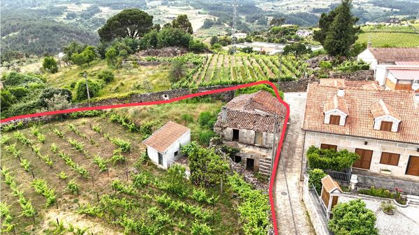 Moradias para reconstrução e terreno -Vilar Maçada. Terreno Rústico