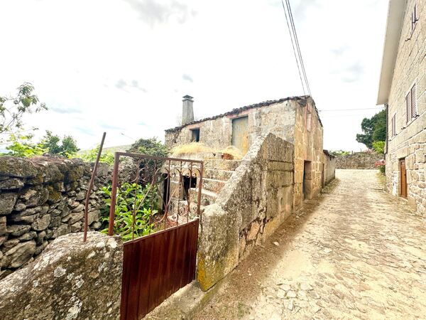 Moradias para reconstrução e terreno -Vilar Maçada. Terreno Rústico