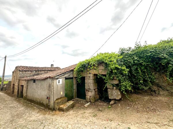 Moradias para reconstrução e terreno -Vilar Maçada. Terreno Rústico