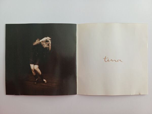 CD Wildest Dreams de Tina Turner . Vinil, CDs