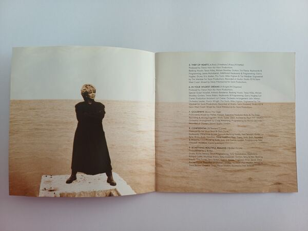 CD Wildest Dreams de Tina Turner . Vinil, CDs