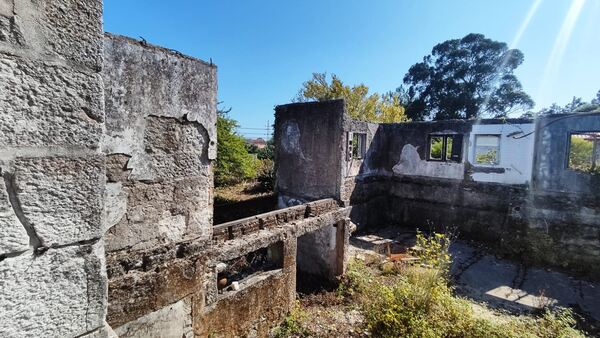 Quinta. Quintas