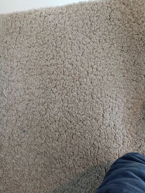 Tapete 300cm x 180cm. Carpetes e Tapetes