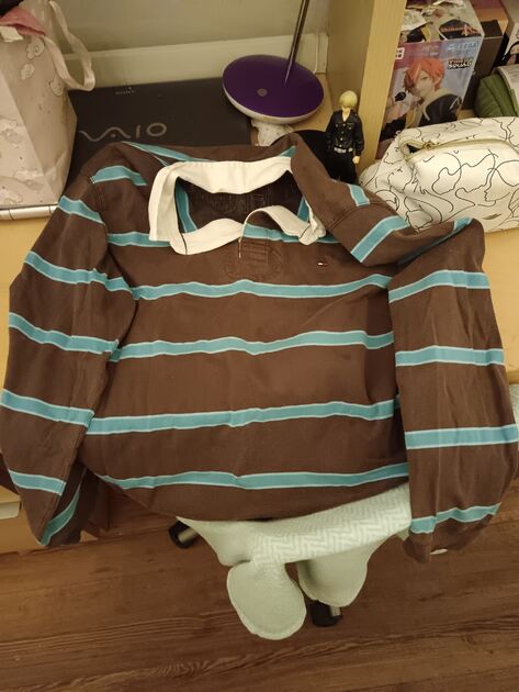 Polo Tommy Hilfiger – Riscas . Sweatshirts