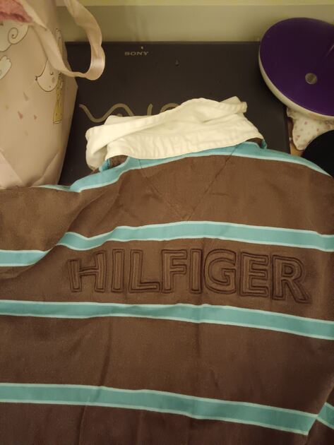 Polo Tommy Hilfiger – Riscas . Sweatshirts