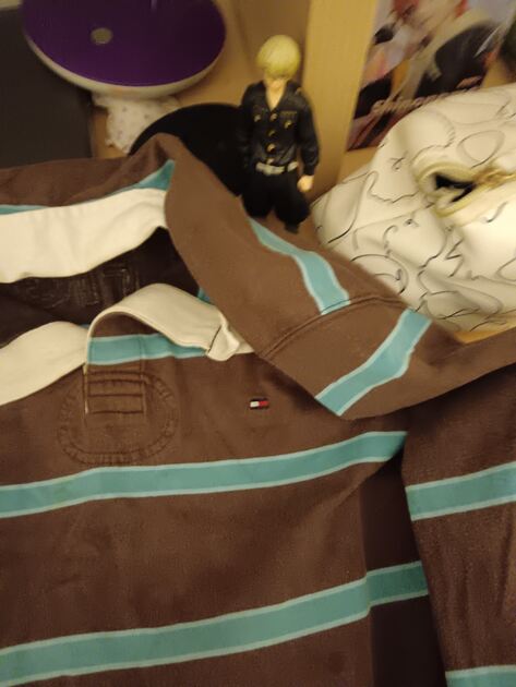 Polo Tommy Hilfiger – Riscas . Sweatshirts