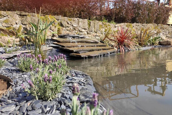 Casa Rústica T3 renovada - Panque / Barcelos (2979. Casa e apartamentos para vender