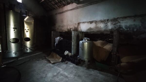 Quinta de S. Cláudio em Curvos / Esposende (2932). Quintas