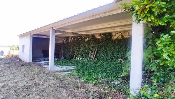 Quinta de S. Cláudio em Curvos / Esposende (2932). Quintas