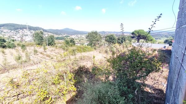 Quinta de S. Cláudio em Curvos / Esposende (2932). Quintas