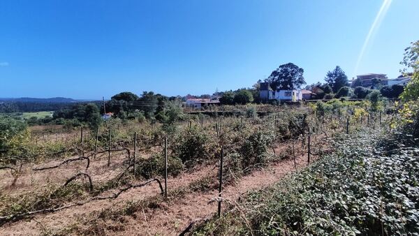Quinta de S. Cláudio em Curvos / Esposende (2932). Quintas