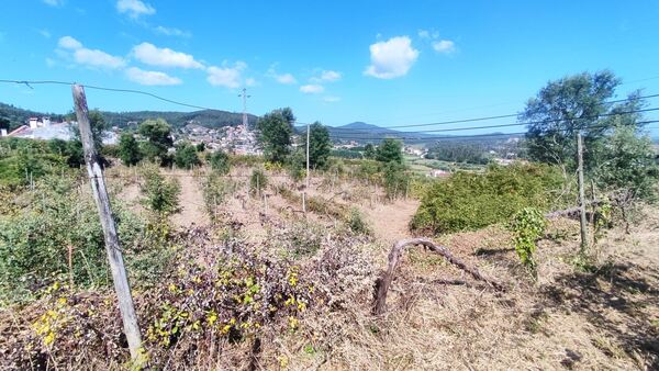 Quinta de S. Cláudio em Curvos / Esposende (2932). Quintas
