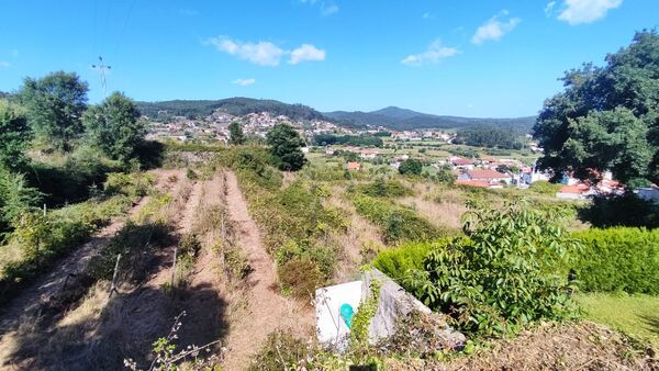 Quinta de S. Cláudio em Curvos / Esposende (2932). Quintas