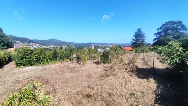 Quinta de S. Cláudio em Curvos / Esposende (2932). Quintas