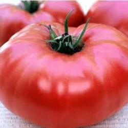 vendo sementes tomate 3 cantos . Sementes. Albufeira