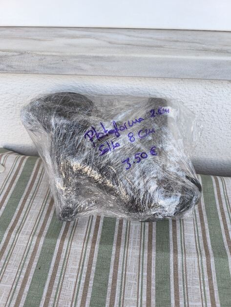 Sapatos de baile. Outros (Calçados femininos)