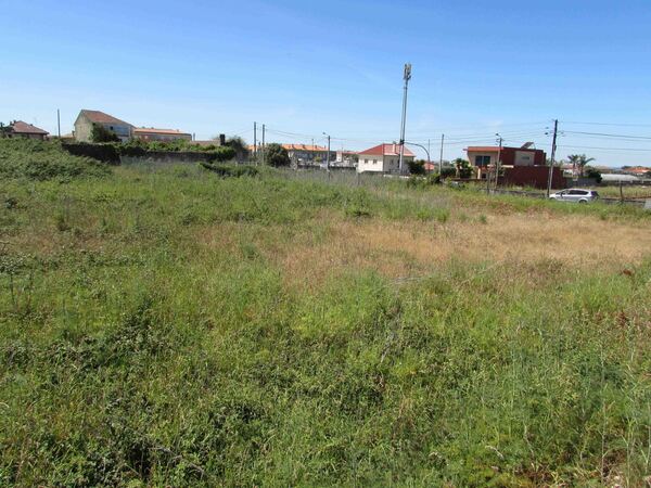 Terreno para construção em Marinhas / Esposende (2. Lote