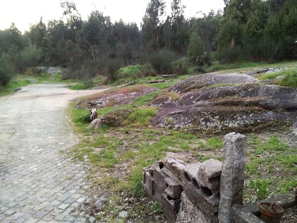 Terreno Rústico - Parada de Todeia, Paredes. Terreno Rústico