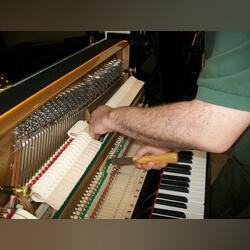 Técnico afinador de pianos. Lisboa. Pianos e Teclados