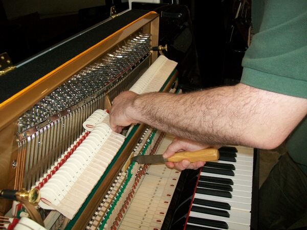 Técnico afinador de pianos. Lisboa. Pianos e Teclados