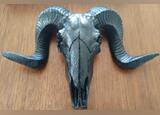 Caveira Cranio Carneiro Decorativo. Outros Arte e Decoração