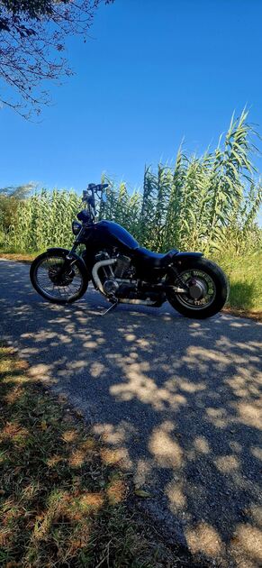 Suzuki Intruder VS800 . Motos