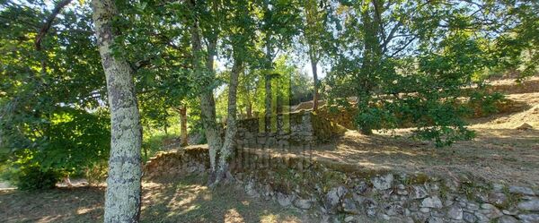 Quinta dos Cortinhais com uma ruína em granito. Quintas