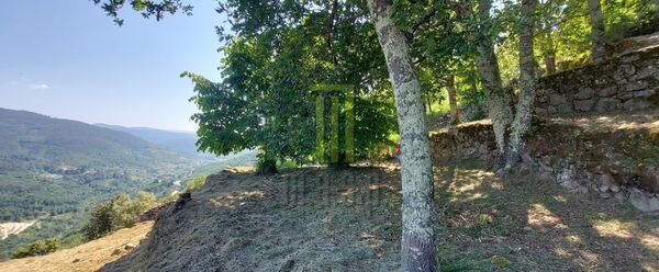 Quinta dos Cortinhais com uma ruína em granito. Quintas