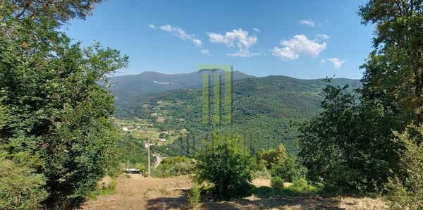 Quinta dos Cortinhais com uma ruína em granito. Quintas