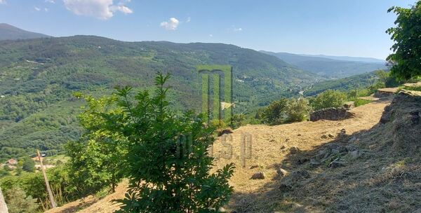Quinta dos Cortinhais com uma ruína em granito. Quintas
