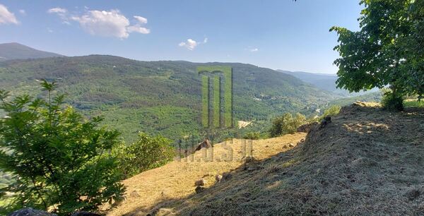Quinta dos Cortinhais com uma ruína em granito. Quintas