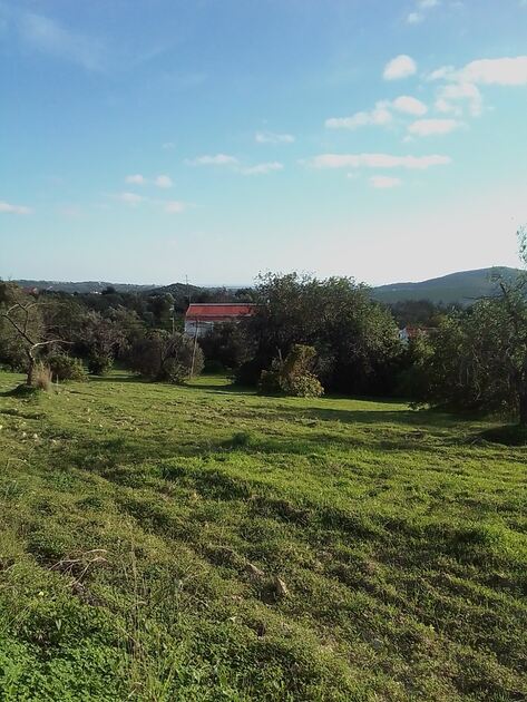 Quinta com Piscina e Vista Mar em Local Calmo Vila. Casa e apartamentos para vender