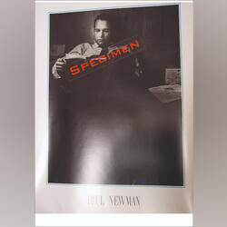 Poster / Picture Paul Newman . Artistas e Músicos. Figueira da Foz