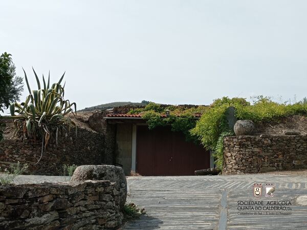 Quinta no Douro Vinhateiro. Quintas