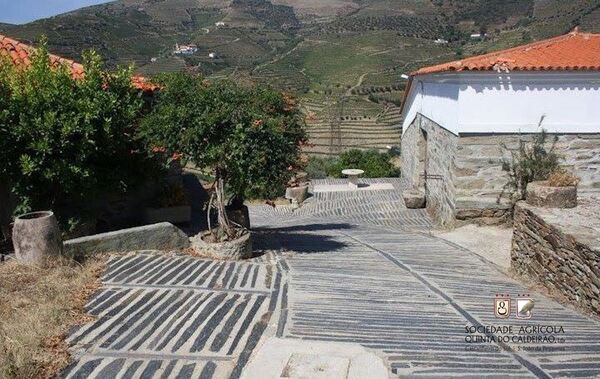 Quinta no Douro Vinhateiro. Quintas